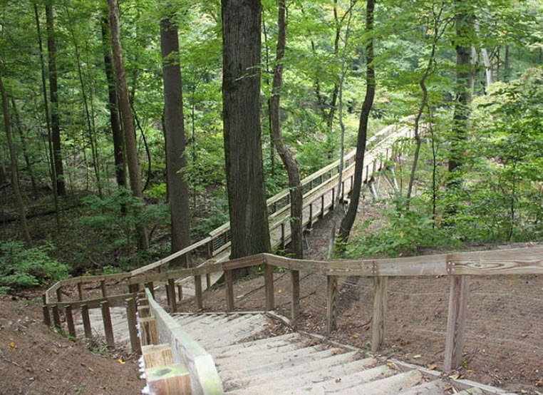 Warren Woods State Park, Michigan, USA